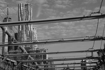The Brooklyn Bridge / ***