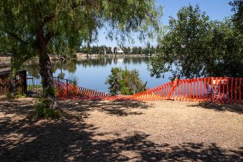 at the lake 2 / ....