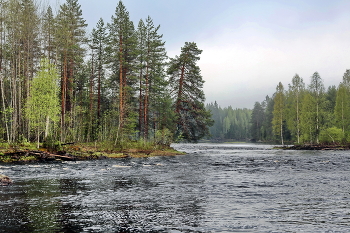 Morning on the river / ***