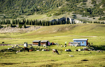 Life in the mountains / ***