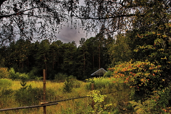 Autumn afternoon. / ***