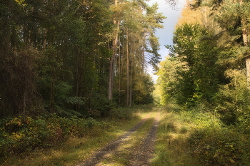 Before the rain / ***