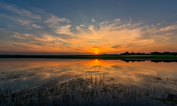 On the pond / ***