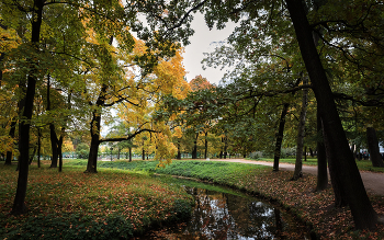 In the fall the park ... / ***