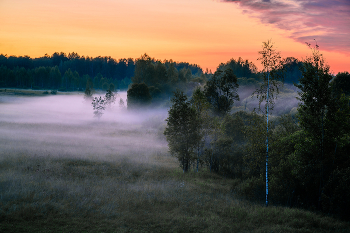 Misty evening. / ***