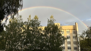 Rainbow / ***