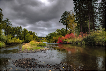 Autumn / ***
