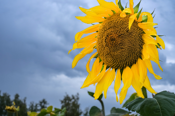 About September ... / ***