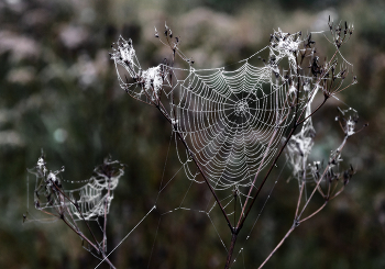 &nbsp; / .............