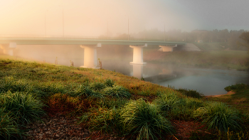 Bridge in the fog / ***