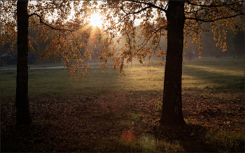 In the fall the park ... / ***