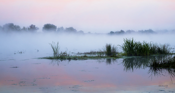 Autumn morning. / ***