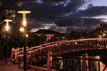Southern Night / ***