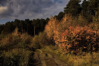 Autumn afternoon. / ***