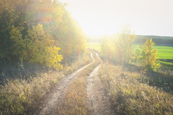 The road to autumn / ***