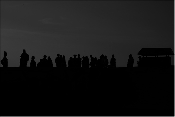 Silhouettes. / ***