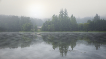Foggy morning. / ***