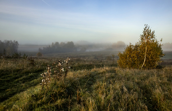 Autumn mood ... / .....