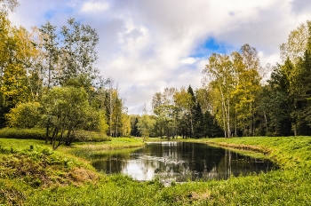 Autumn in Pavlovsk / ***