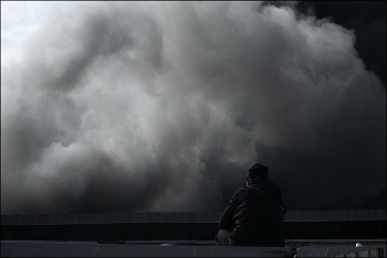 Belogrivov horses / ***