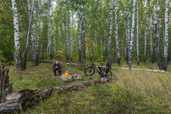 campfire / ***