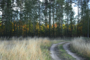 Road / ***