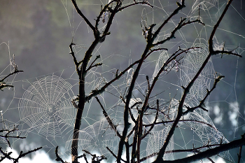 Autumn sketches / ***