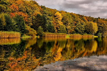 Autumn / ===========================