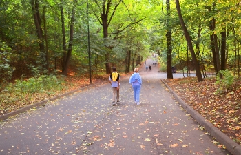 Autumn / ***