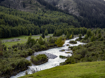 The River / ***