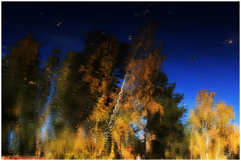 Reflection / ***