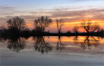 In the silence / ***