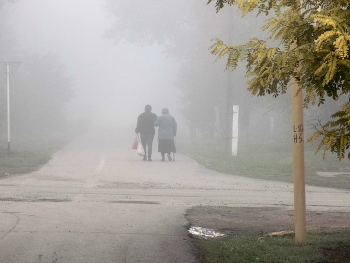 Fog / ***