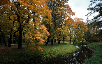 In the fall the park ... / ***