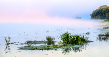 Foggy morning. / ***