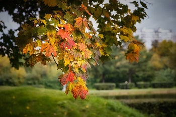 Autumn colors ... / ***