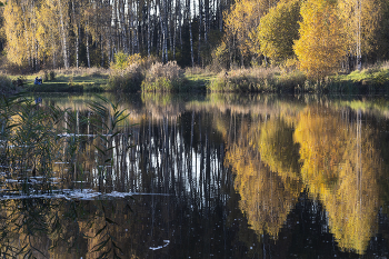 The palette of autumn / ~~~