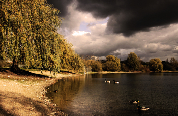 On the lake / ***