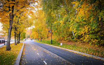 Autumn colors ... / ***