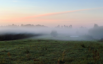 Foggy morning / ***