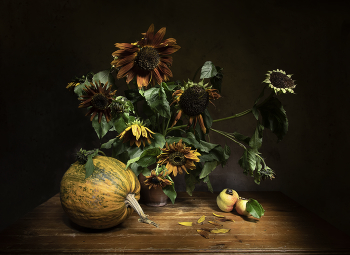 Sunny autumn / ***