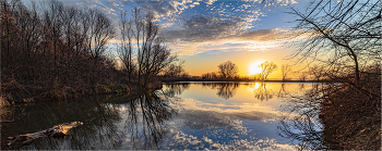 Evening / ***