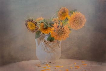 Bouquet / ***