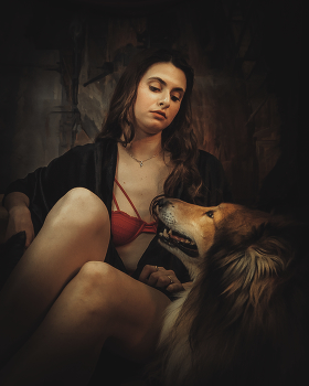 Portrait of a dog / ***