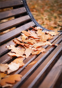 Autumn sketch ... / ***