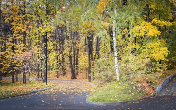 In the fall the park ... / ***