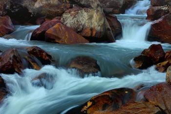 Mountain Stream / ***