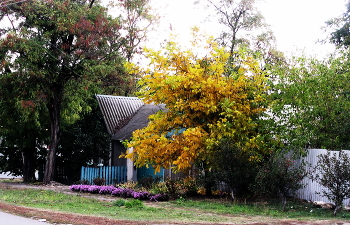 Autumn colors ... / ***