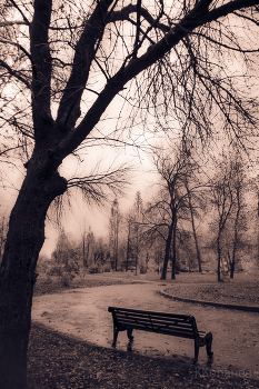 in the park / ***