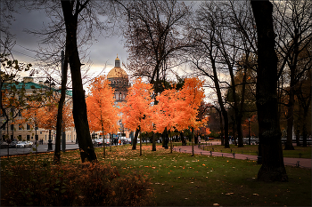 St. Petersburg autumn ... / ***